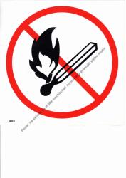 Piktogram Zákaz vstupu s plameňom! 20,5x20,5cm
